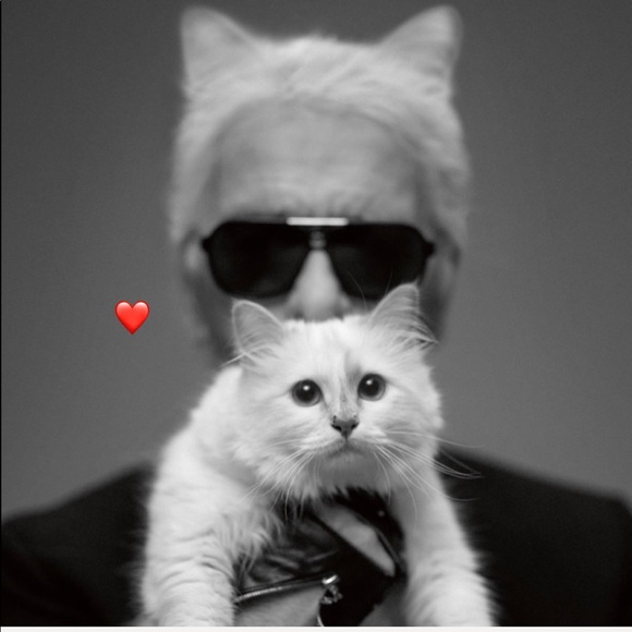 Karl Lagerfeld Accessories - NEW ❤️ Karl Lagerfeld Kitty Pearl Studded Beanie